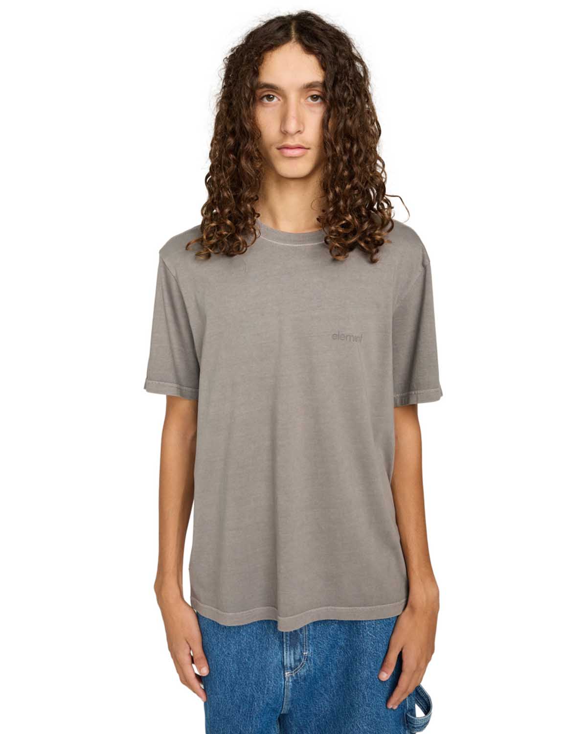 T-Shirt Element LOWCASE PIGMENT Gargoyle-2