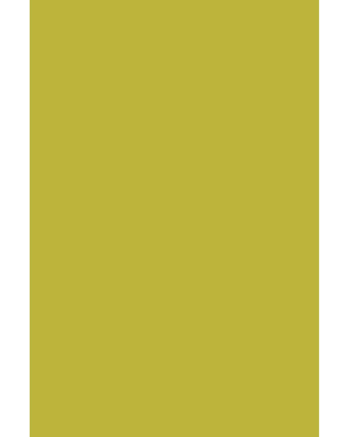 Montana Pen BLACK 400ML Pear Green-2